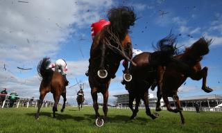 Leroisduturf: Your Ultimate Guide to Horse Racing Predictions