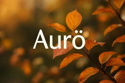 Aurö: The Complete Guide to Understanding This Unique Term