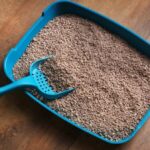 Understanding Sattelitter: The Complete Guide to Cat Litter Brands