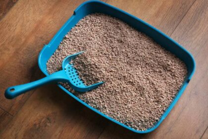 Understanding Sattelitter: The Complete Guide to Cat Litter Brands