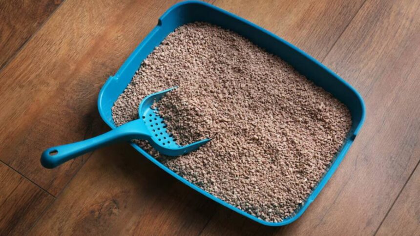 Understanding Sattelitter: The Complete Guide to Cat Litter Brands