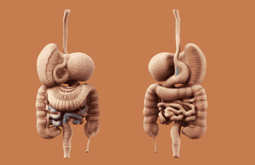 Understanding Gastroshiza: A Complete Guide to This Digestive Condition