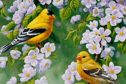 A Guide to the Enduring Beauty of Bird Art