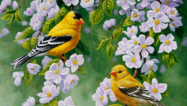 A Guide to the Enduring Beauty of Bird Art